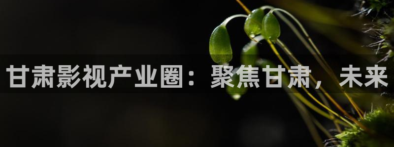 木瓜电影了