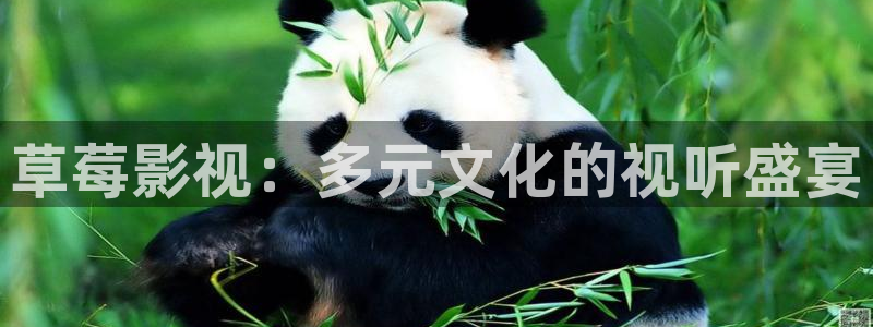 木瓜价格查询
