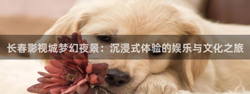 木瓜价格