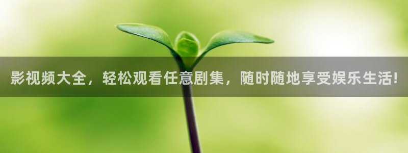 木瓜影视大全免费观看电视剧