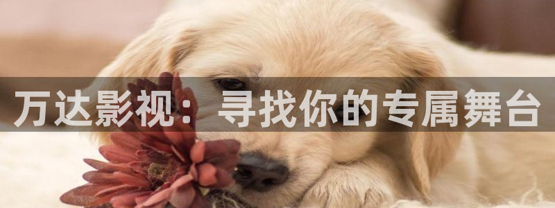 木瓜电影影院
