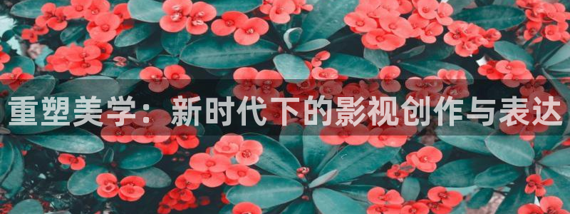 木瓜影院伦电影理论：重塑美学：新时代下的影视创作与表达