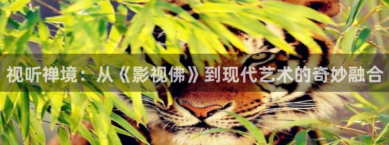 木瓜影院午夜