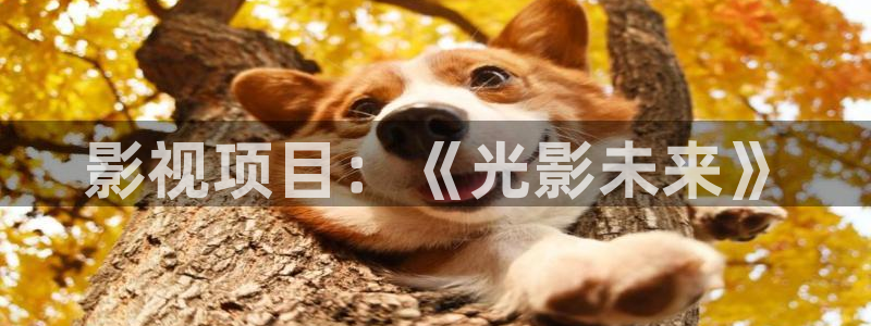 木瓜影院在线看：影视项目：《光影未来》