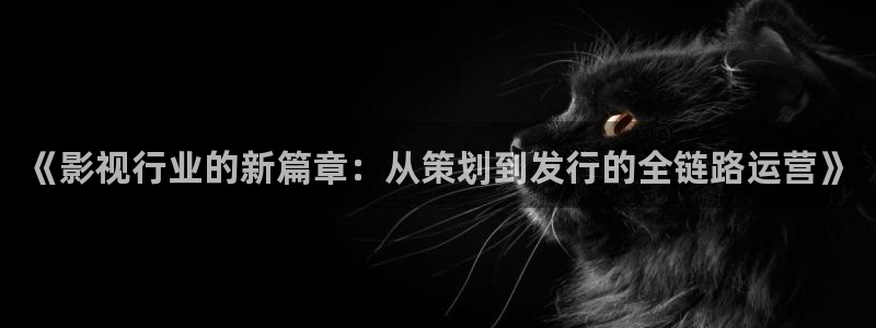 www木瓜电影：《影视行业的新篇章：从策划到发行的全链路运营》