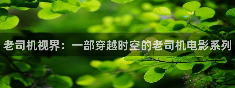 木瓜影视网：老司机视界：一部穿越时空的老司机电影系列